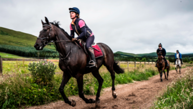 How can riders monitor their horse's health and well-being during an endurance event?