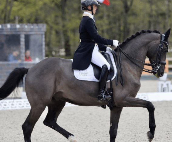 How can riders develop the precision and grace required for dressage?