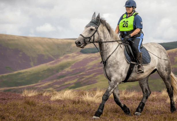 What are the critical aspects of caring for a horse during an endurance ride?