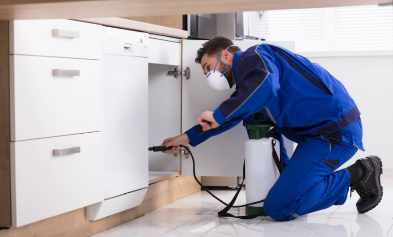 Understanding Termite Infestations and How to Protect Your Home