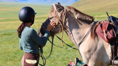Stables: personalize this pocket belt with your colors and logo!