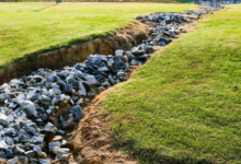 How Organic Matter and Soil Amendments Boost Yard Drainage