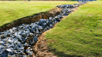 How Organic Matter and Soil Amendments Boost Yard Drainage
