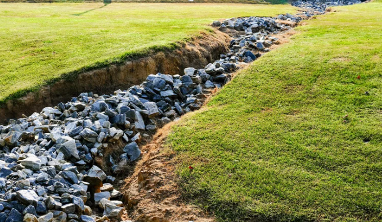 How Organic Matter and Soil Amendments Boost Yard Drainage