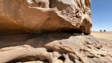 innovative automotive technology exploration