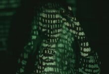 lexington law contact number