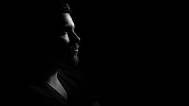 lousamaia s profile highlights summary