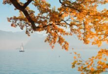 mario lopez legal case