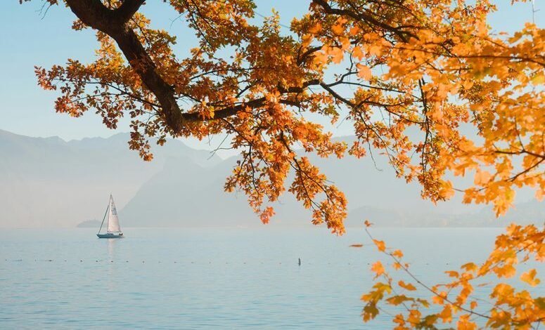 mario lopez legal case