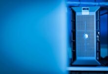 access ssapunjaborg resources services