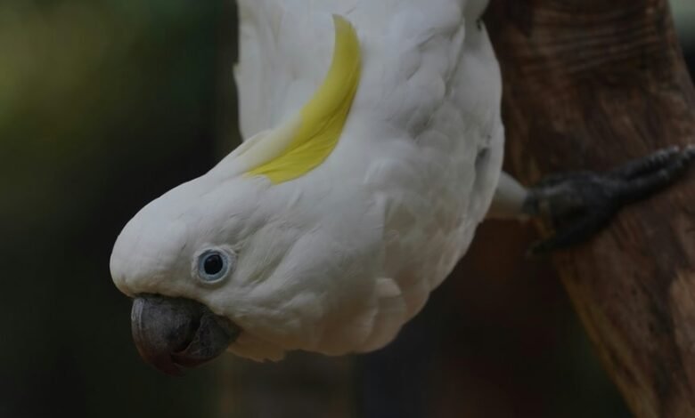 enterprise intelligence performance register