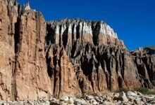 exploring sjuyue s unique features