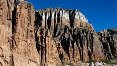 exploring sjuyue s unique features