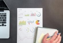 organisational performance signal report