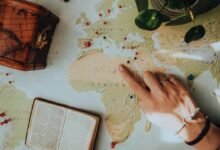 search guide for discovery