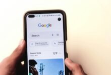 search seznam najdu tam