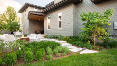 Grass Types: Drought-Resistant Solutions