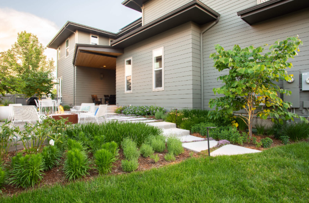 Grass Types: Drought-Resistant Solutions