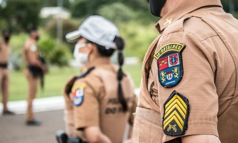 search authority network rankings