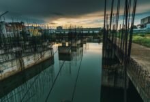 dynamic progress model overview