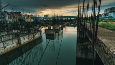 dynamic progress model overview