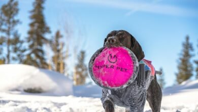 fusion hyper node 931222126