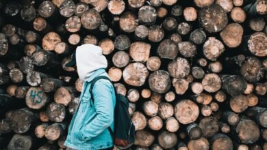 user activity and profile