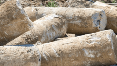 Pier and Beam Foundation Repair: Strength, Problems, and Long-Term Risks Explained