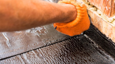 Basement Waterproofing: Signs, Solutions, and Common Problems You Should Know About